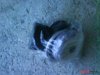DSC00384.JPG